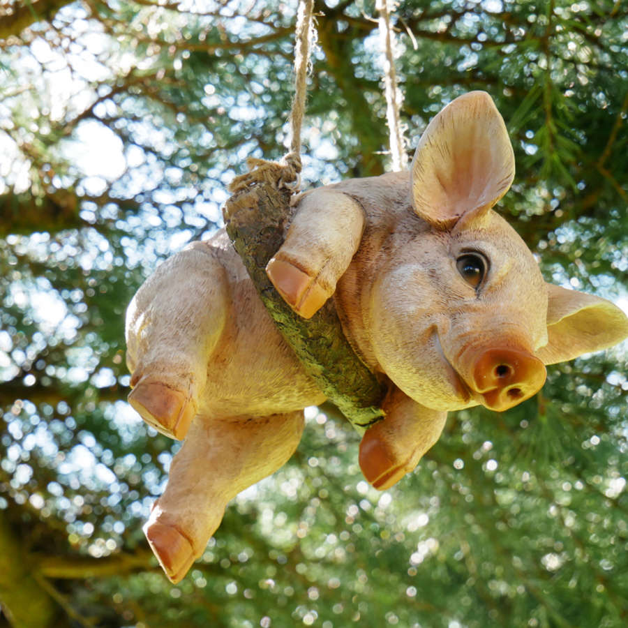 Hanging Pig on a rope swing