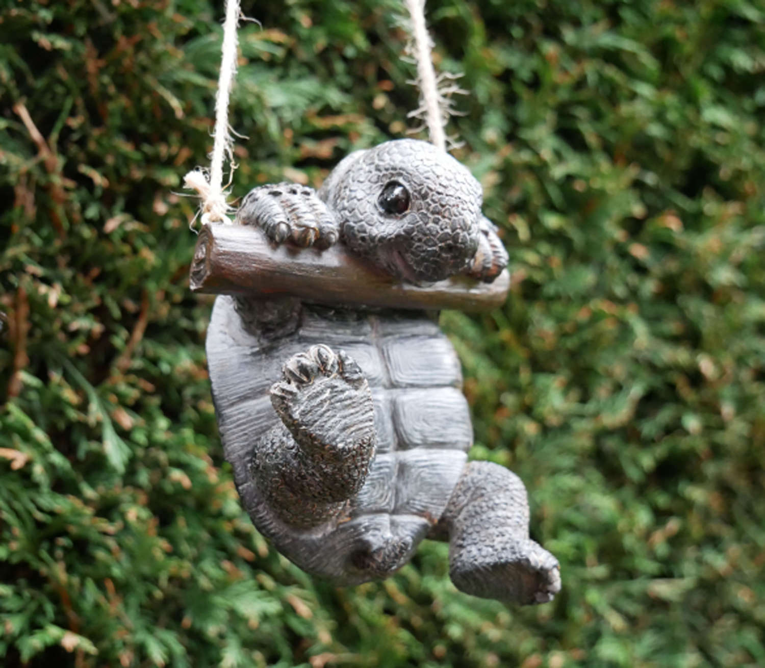 Hanging Tortoise
