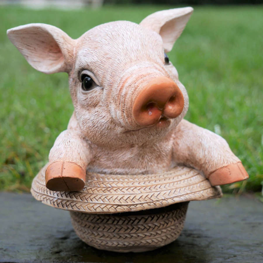Pig in straw hat