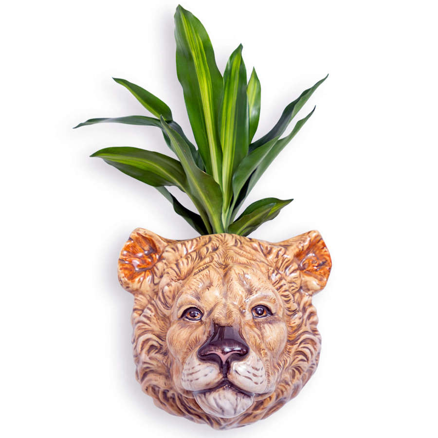 Ceramic Lioness head wall planter