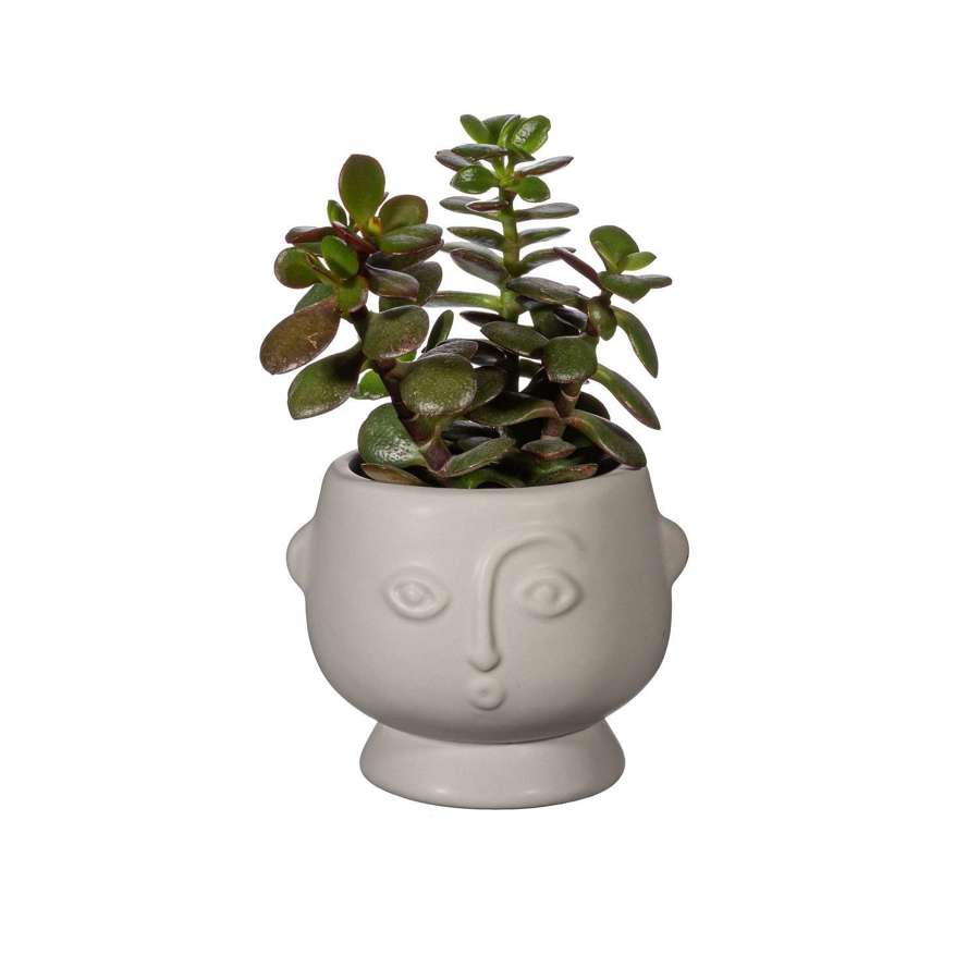 Matt grey small ceramic Face planter