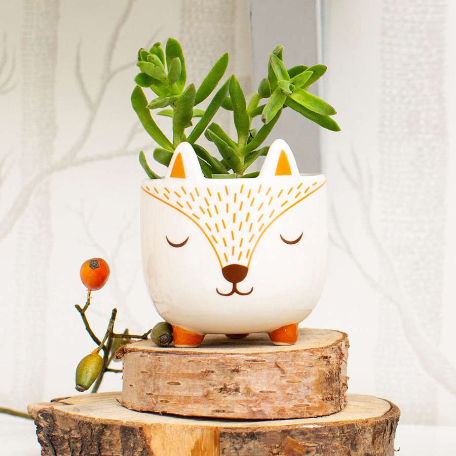 Mini Woodland ceramic Fox planter