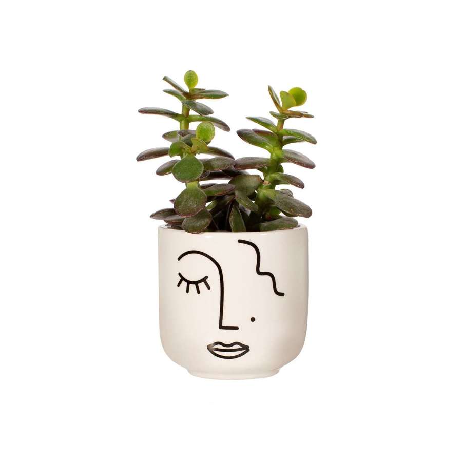Abstract Face ceramic mini planter