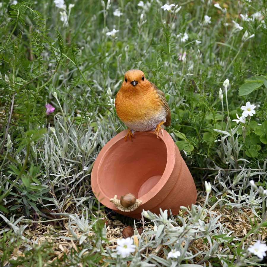 Robin Bird Feeder