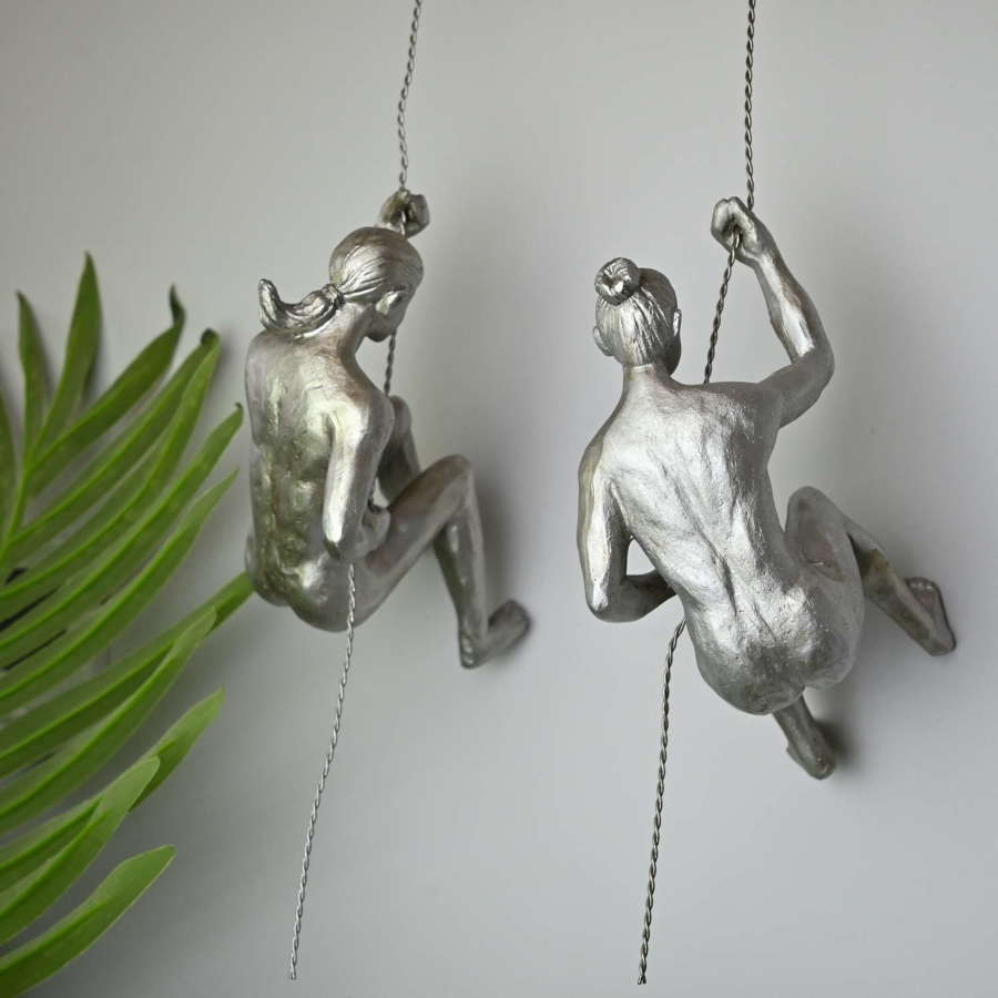Silver Wall hanging climbing abseiling ladies.