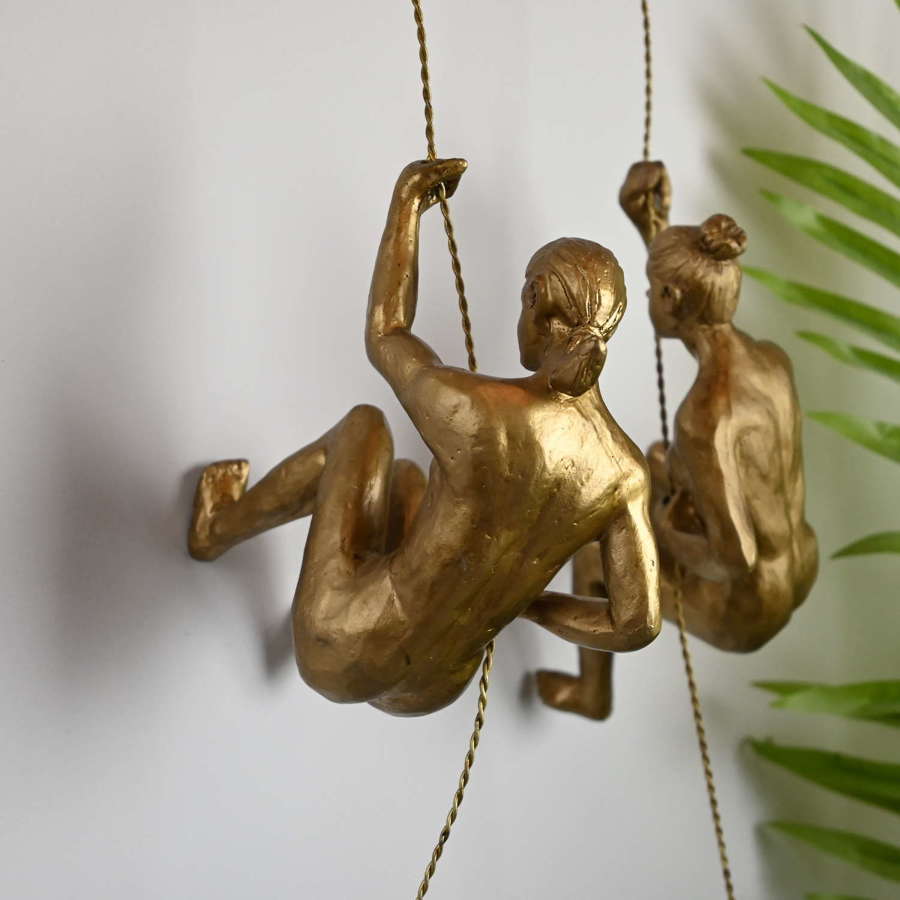 Gold Wall hanging climbing abseiling ladies.